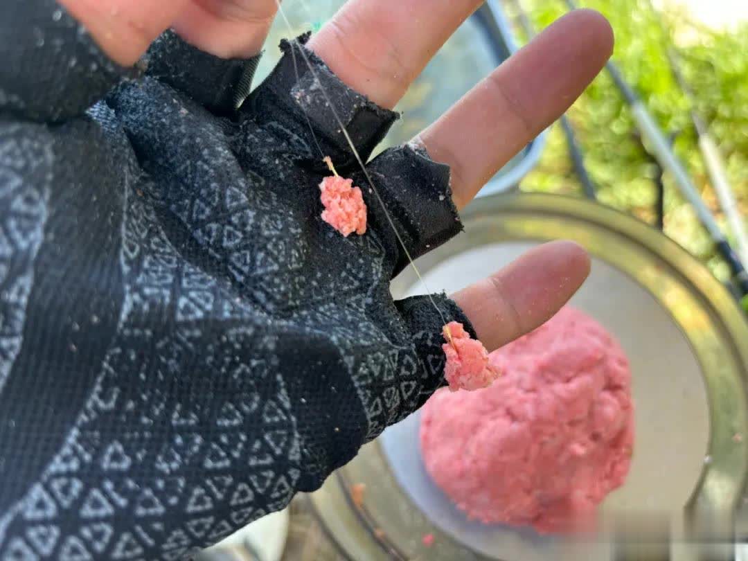 但你要是想, 么高, 鲫鱼钓不到